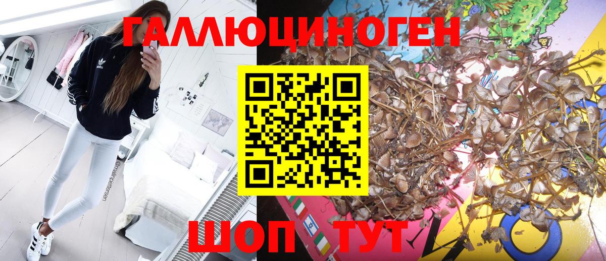 Галлюциногенные грибы мицелий  Вход с VPN  Тихвин 