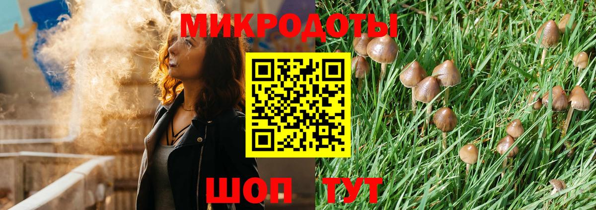 Псилоцибиновые грибы Psilocybine cubensis Тихвин